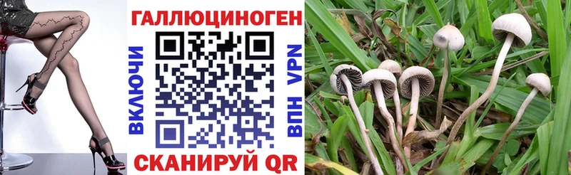 Галлюциногенные грибы GOLDEN TEACHER  Лабинск 